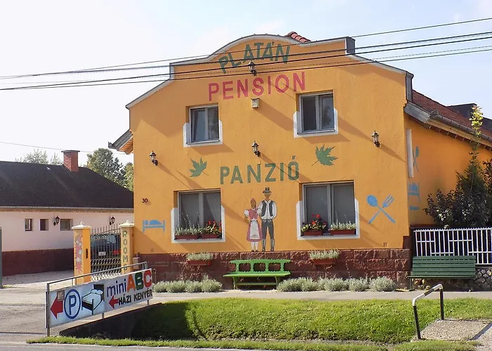 Platan Panzio